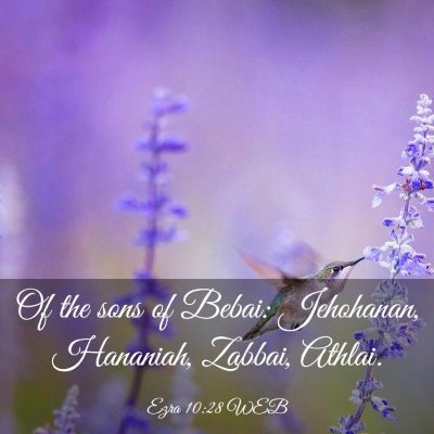 Picture 03 - Ezra 10:28 WEB - Of the sons of Bebai: Jehohanan, Hananiah, - Bible Verse Picture