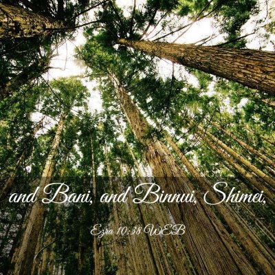 Picture 03 - Ezra 10:38 WEB - and Bani, and Binnui, - Bible Verse Picture