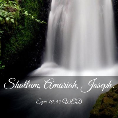 Picture 03 - Ezra 10:42 WEB - Shallum, Amariah, - Bible Verse Picture