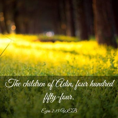 Picture 03 - Ezra 2:15 WEB - The children of Adin, four hundred - Bible Verse Picture