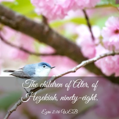 Picture 03 - Ezra 2:16 WEB - The children of Ater, of Hezekiah, - Bible Verse Picture