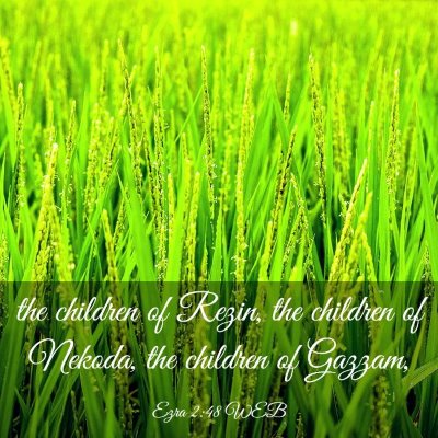 Picture 03 - Ezra 2:48 WEB - the children of Rezin, the children of Nekoda, - Bible Verse Picture