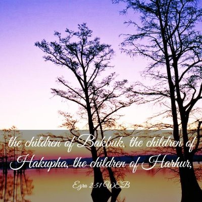 Picture 03 - Ezra 2:51 WEB - the children of Bakbuk, the children of Hakupha, - Bible Verse Picture