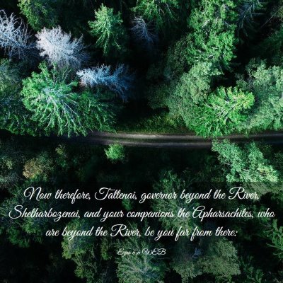 Picture 03 - Ezra 6:6 WEB - Now therefore, Tattenai, governor beyond the - Bible Verse Picture