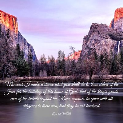 Picture 03 - Ezra 6:8 WEB - Moreover I make a decree what you shall do to - Bible Verse Picture