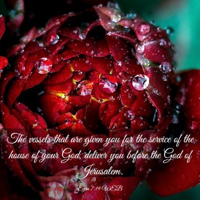 Picture 03 - Ezra 7:19 WEB - The vessels that are given you for the service of - Bible Verse Picture
