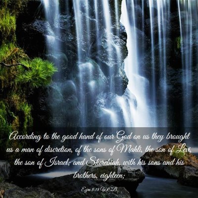 Picture 03 - Ezra 8:18 WEB - According to the good hand of our God on us they - Bible Verse Picture
