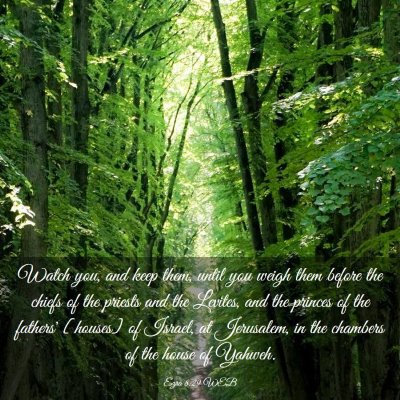 Picture 03 - Ezra 8:29 WEB - Watch you, and keep them, until you weigh them - Bible Verse Picture