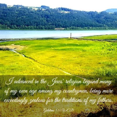 Picture 03 - Galatians 1:14 WEB - I advanced in the Jews' religion beyond many of - Bible Verse Picture