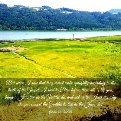 Picture 03 - Galatians 2:14 WEB - But when I saw that they didn't walk uprightly - Bible Verse Picture