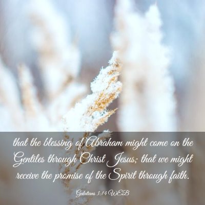 Picture 03 - Galatians 3:14 WEB - that the blessing of Abraham might come on the - Bible Verse Picture