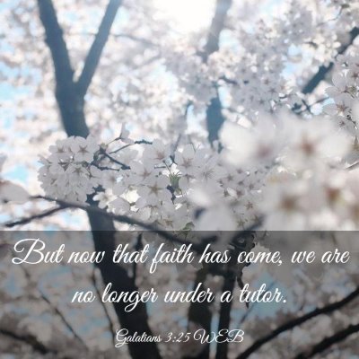 Picture 03 - Galatians 3:25 WEB - But now that faith has come, we are no longer - Bible Verse Picture