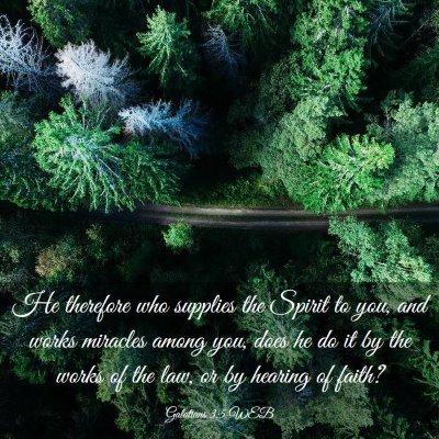 Picture 03 - Galatians 3:5 WEB - He therefore who supplies the Spirit to you, and - Bible Verse Picture
