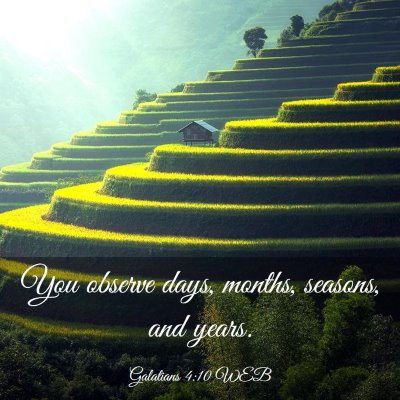 Picture 03 - Galatians 4:10 WEB - You observe days, months, seasons, and - Bible Verse Picture