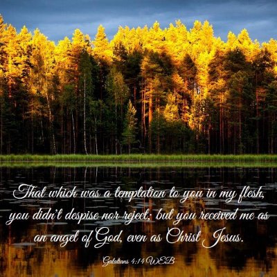 Picture 03 - Galatians 4:14 WEB - That which was a temptation to you in my flesh, - Bible Verse Picture