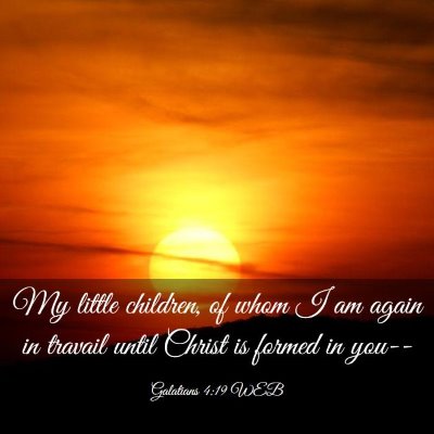 Picture 03 - Galatians 4:19 WEB - My little children, of whom I am again in travail - Bible Verse Picture