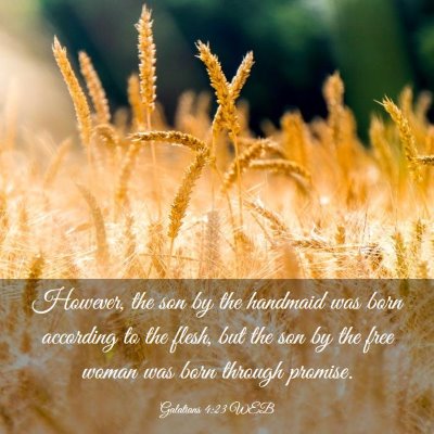 Picture 03 - Galatians 4:23 WEB - However, the son by the handmaid was born - Bible Verse Picture