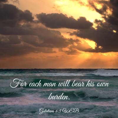 Picture 03 - Galatians 6:5 WEB - For each man will bear his own - Bible Verse Picture