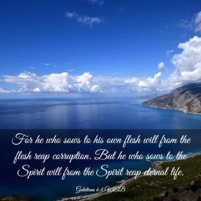 Picture 03 - Galatians 6:8 WEB - For he who sows to his own flesh will from the - Bible Verse Picture