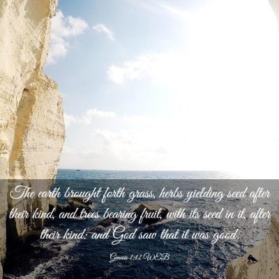 Picture 03 - Genesis 1:12 WEB - The earth brought forth grass, herbs yielding - Bible Verse Picture