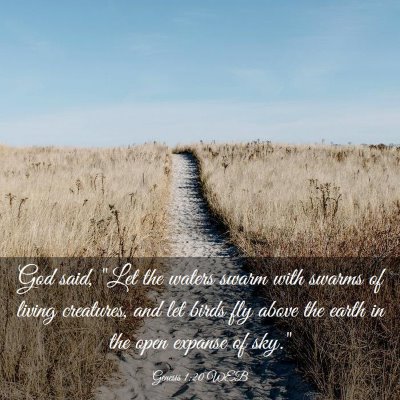 Picture 03 - Genesis 1:20 WEB - God said, 