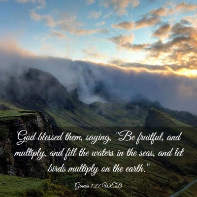 Picture 03 - Genesis 1:22 WEB - God blessed them, saying, 