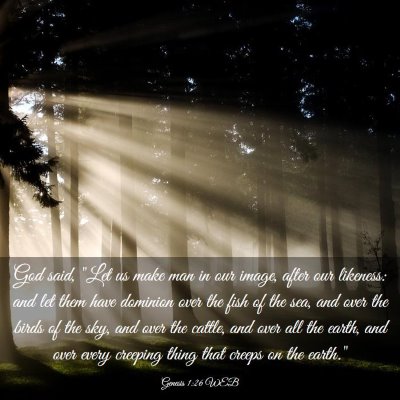 Picture 03 - Genesis 1:26 WEB - God said, 