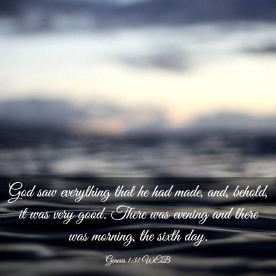 Picture 03 - Genesis 1:31 WEB - God saw everything that he had made, and, behold, - Bible Verse Picture