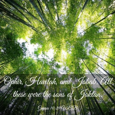 Picture 03 - Genesis 10:29 WEB - Ophir, Havilah, and Jobab. All these were the - Bible Verse Picture