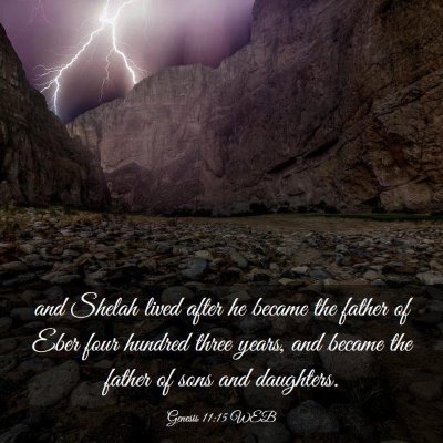 Picture 03 - Genesis 11:15 WEB - and Shelah lived after he became the father of - Bible Verse Picture