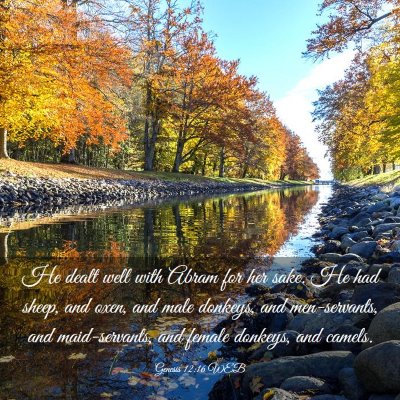 Picture 03 - Genesis 12:16 WEB - He dealt well with Abram for her sake. He had - Bible Verse Picture
