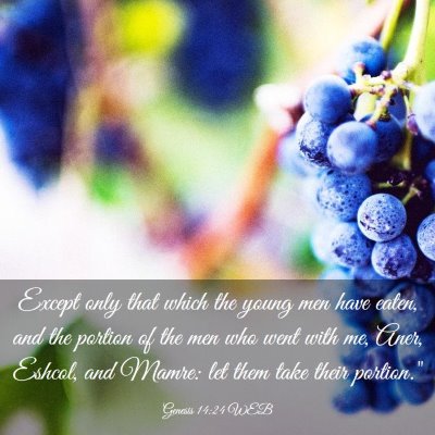 Picture 03 - Genesis 14:24 WEB - Except only that which the young men have eaten, - Bible Verse Picture