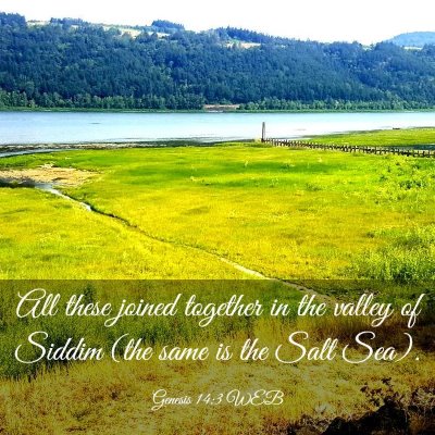 Picture 03 - Genesis 14:3 WEB - All these joined together in the valley of Siddim - Bible Verse Picture