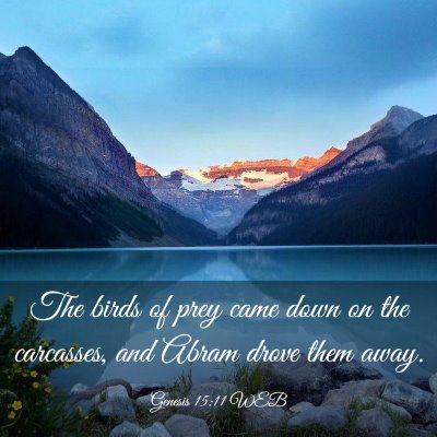 Picture 03 - Genesis 15:11 WEB - The birds of prey came down on the carcasses, and - Bible Verse Picture