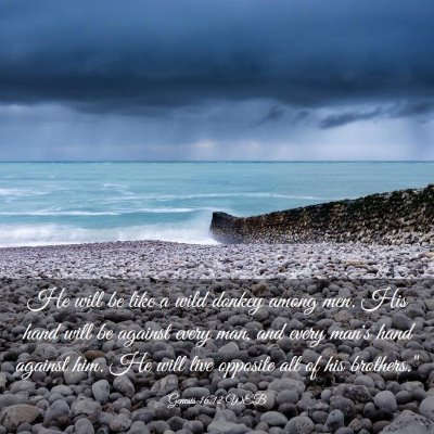Picture 03 - Genesis 16:12 WEB - He will be like a wild donkey among men. His hand - Bible Verse Picture