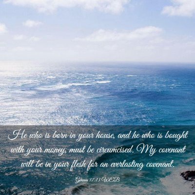 Picture 03 - Genesis 17:13 WEB - He who is born in your house, and he who is - Bible Verse Picture