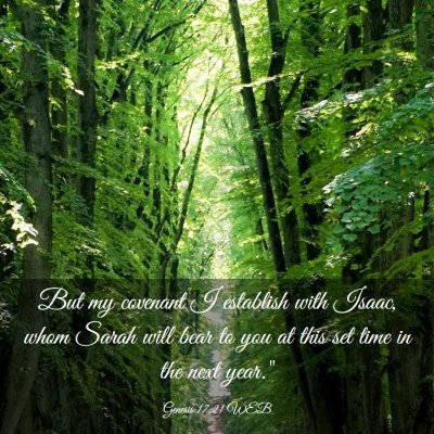 Picture 03 - Genesis 17:21 WEB - But my covenant I establish with Isaac, whom - Bible Verse Picture