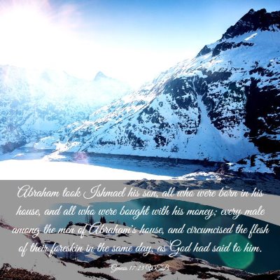 Picture 03 - Genesis 17:23 WEB - Abraham took Ishmael his son, all who were born - Bible Verse Picture