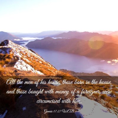 Picture 03 - Genesis 17:27 WEB - All the men of his house, those born in the - Bible Verse Picture