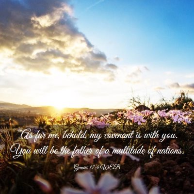 Picture 03 - Genesis 17:4 WEB - 