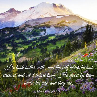 Picture 03 - Genesis 18:8 WEB - He took butter, milk, and the calf which he had - Bible Verse Picture