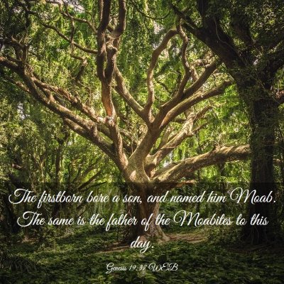 Picture 03 - Genesis 19:37 WEB - The firstborn bore a son, and named him Moab. The - Bible Verse Picture