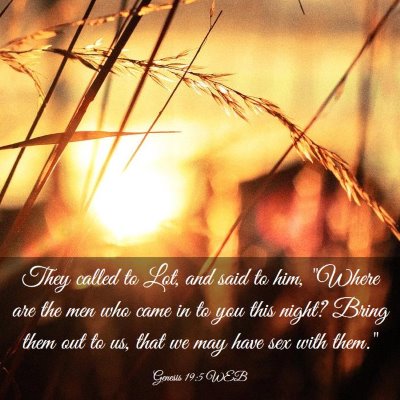 Picture 03 - Genesis 19:5 WEB - They called to Lot, and said to him, 
