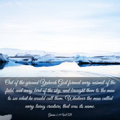 Picture 03 - Genesis 2:19 WEB - Out of the ground Yahweh God formed every animal - Bible Verse Picture