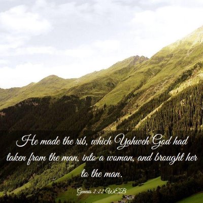 Picture 03 - Genesis 2:22 WEB - He made the rib, which Yahweh God had taken from - Bible Verse Picture