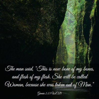 Picture 03 - Genesis 2:23 WEB - The man said, 