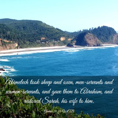 Picture 03 - Genesis 20:14 WEB - Abimelech took sheep and oxen, men-servants and - Bible Verse Picture