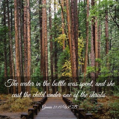 Picture 03 - Genesis 21:15 WEB - The water in the bottle was spent, and she cast - Bible Verse Picture