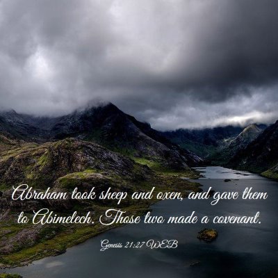 Picture 03 - Genesis 21:27 WEB - Abraham took sheep and oxen, and gave them to - Bible Verse Picture