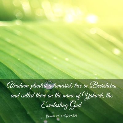 Picture 03 - Genesis 21:33 WEB - Abraham planted a tamarisk tree in Beersheba, and - Bible Verse Picture